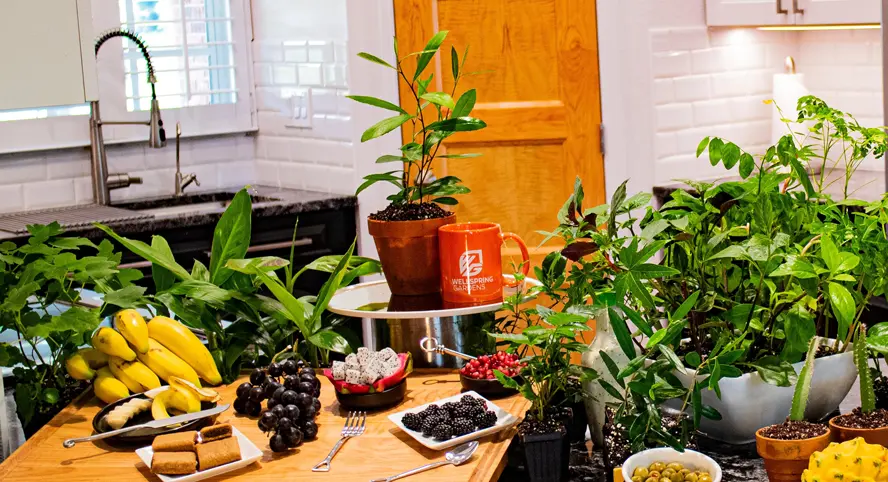 Case study for Wellspring Gardens on Amazon