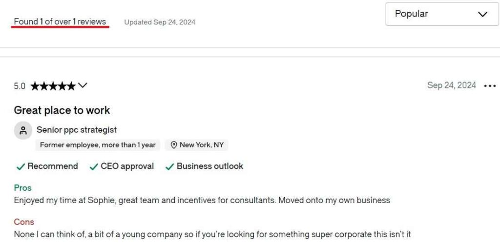 Full Service Amazon Agency vs. Sophie Society PPC 6 Full Service Amazon Agency vs Sophie Society Sophie Employee Review