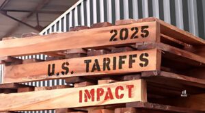 Tariff-Resilient Amazon Business
