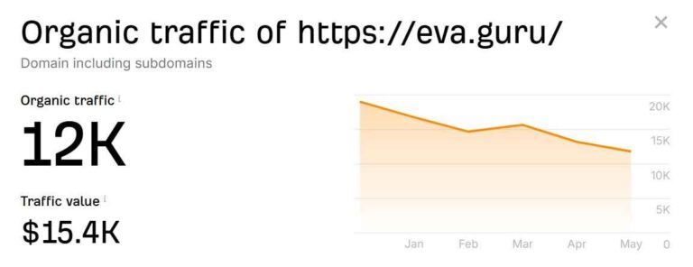 My Amazon Guy vs Eva Eva organic traffic