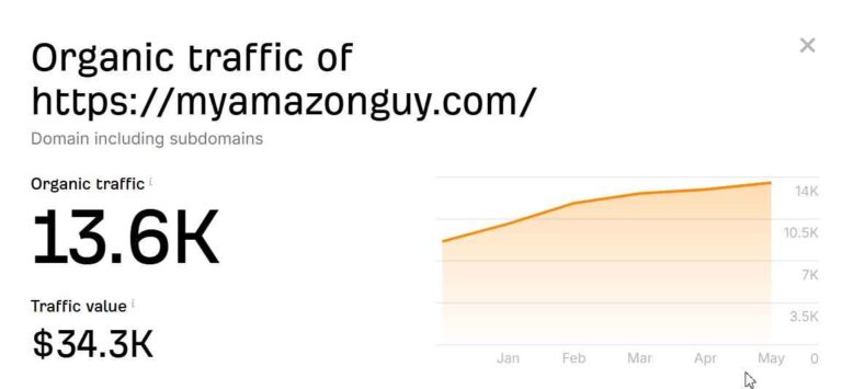 My Amazon Guy vs Eva MAG organic traffic