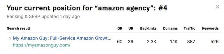 My Amazon Guy vs Eva MAG website rank
