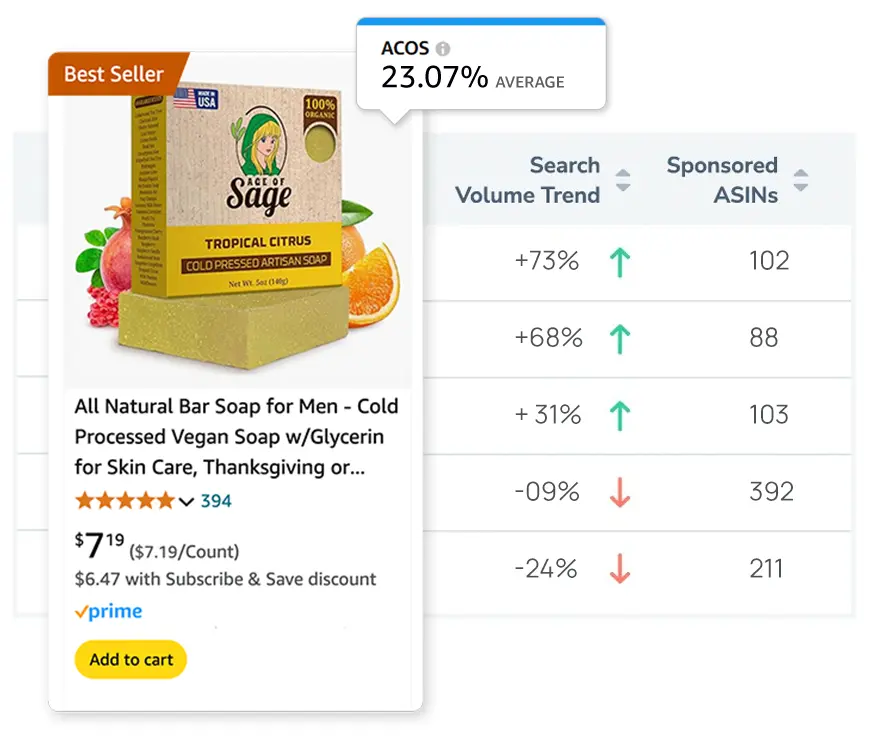 amazon advertising audit