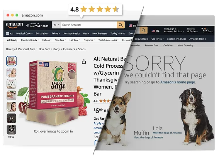 Amazon Listing Reinstatement Service