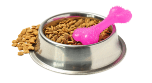 Selling Pet Supplies on Amazon - Featured Image