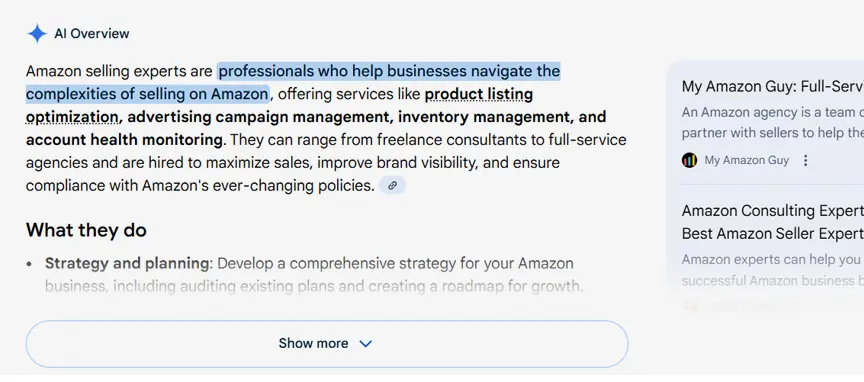 MAG vs GNO Partners My Amazon Guy mentioned in Google AI overview for amazon selling