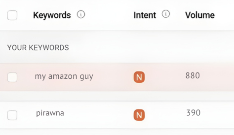 My Amazon Guy vs Pirawna Ubersuggest search volume MAG 880 Pirawna 390